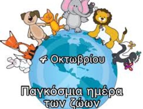 Παγκόσμια ημέρα ζώων